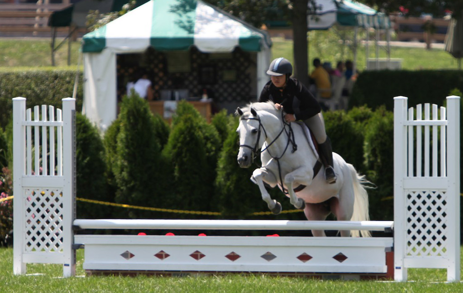 Home Fairfield County Hunt Club Fairfield, CT